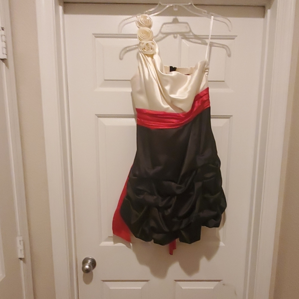 Rose Delight Dazzler